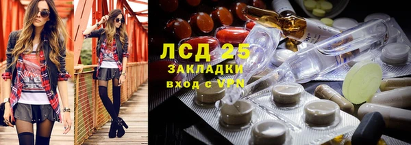 альфа пвп Медвежьегорск